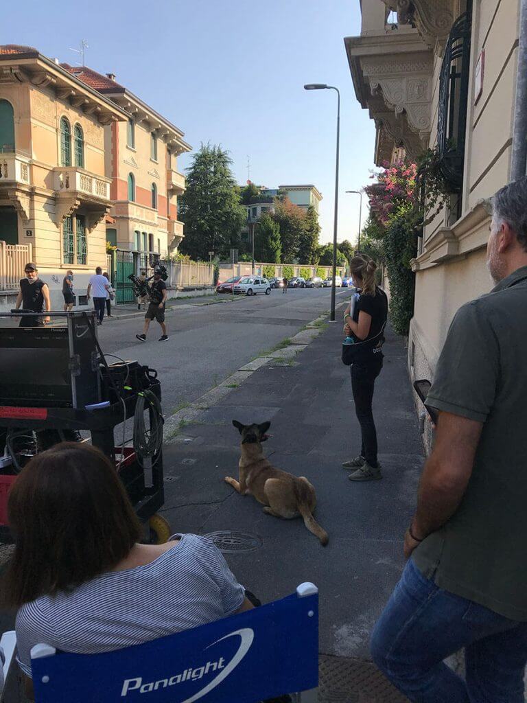 Backstage of Wild Dog.