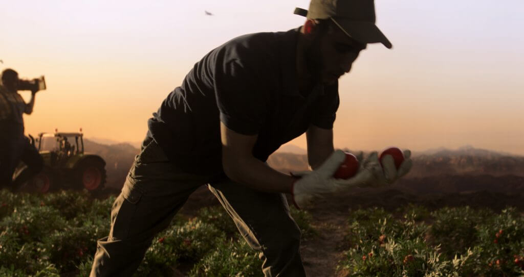 Spot TV Coop | Pomodori Coop