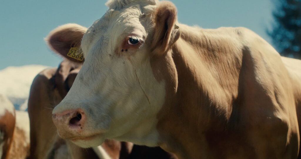 Spot TV Coop | Latte fresco di montagna Coop